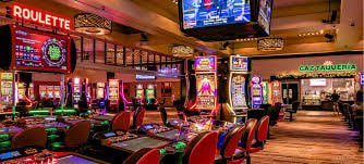 5008 bet app 5008 bet app